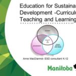  K12 Education – The need for Sustainable development